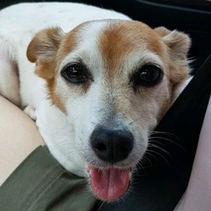 Meet your Posher, Jake